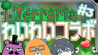 【#terraria 】#3 ！！わいわい海へ行くぅ！！[メロタ・ペポン視点]【VTuber/コラボ配信/HIGE帽/三雲穿ノ介/山野ヒグマル】