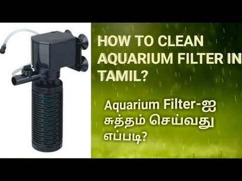 How to maintain Aquarium Filter easily in Tamil | மீன் தொட்டி காற்று வடிகட்டியை எவ்வாறு பராமரிப்பது?