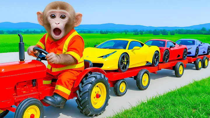 Monkey Tutu Explores Colorful Cars and Visits the Farm to Play with Bunnies!