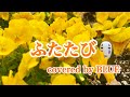 【願い】ふたたび/平原綾香(cover)