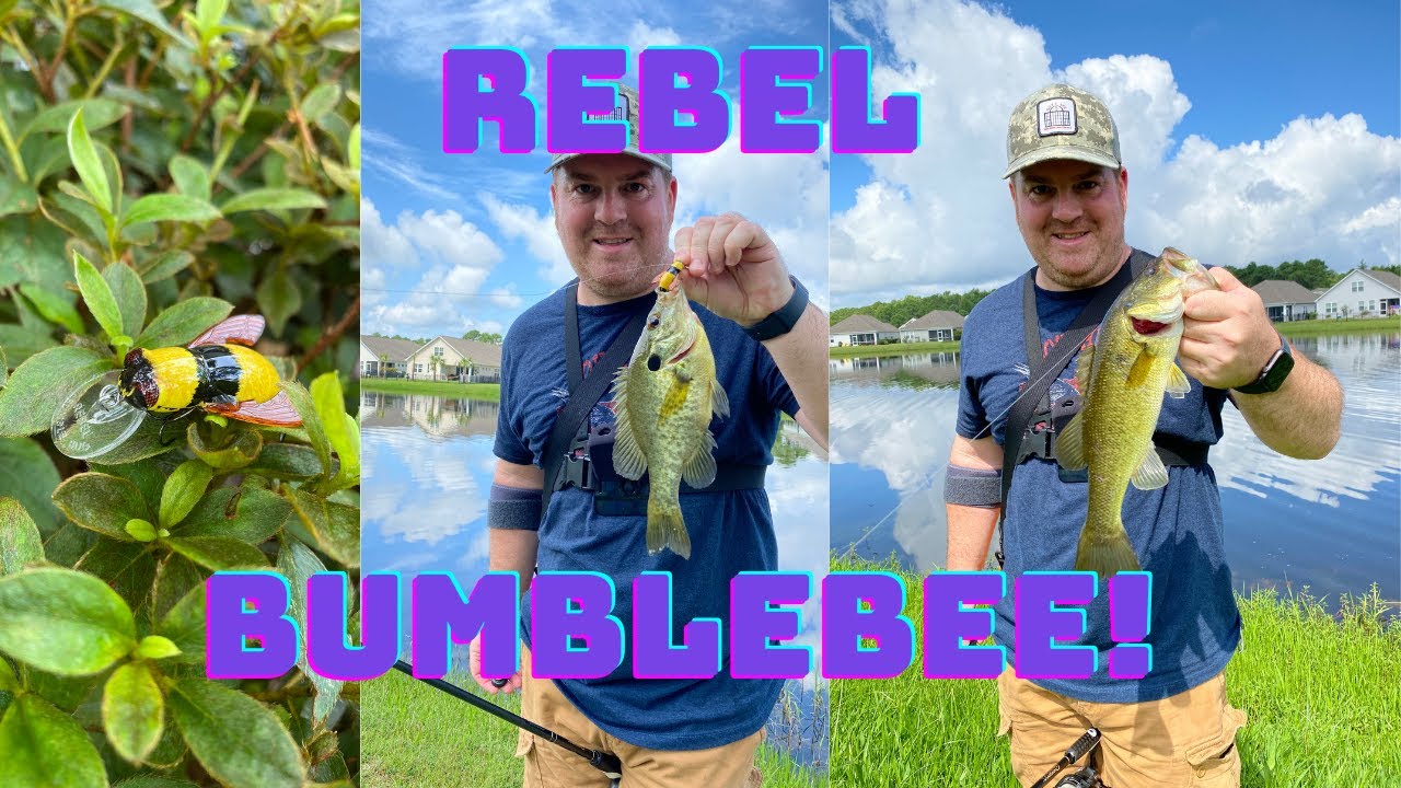 CRAZY Rebel Bumble Bee Lure Catches Fish!! 