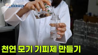[생활 백서] 천연 모기 기피제 만들기 [생방송 굿모닝 대한민국] | KBS 260819 방송