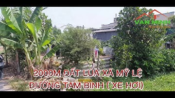 ĐẤT LÚA TAM BINH XÃ MỸ LỆ CẦN ĐƯỚC LONG AN. 2000M GIÁ 1 TỶ 2/1000M