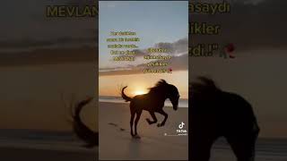 En Güzel Mı Sözler Umut Dolu Sözler Whatsapp Durum Videosu