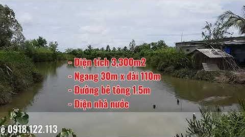 Bán đất vuông tôm Cà Mau 0918.122.113 | 3 công vuông xã Phú Hưng, Cái Nước | Nhà đất CÀ MAU LAND