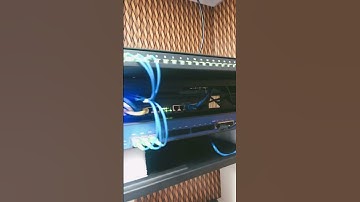 Provedor de internet Starlink