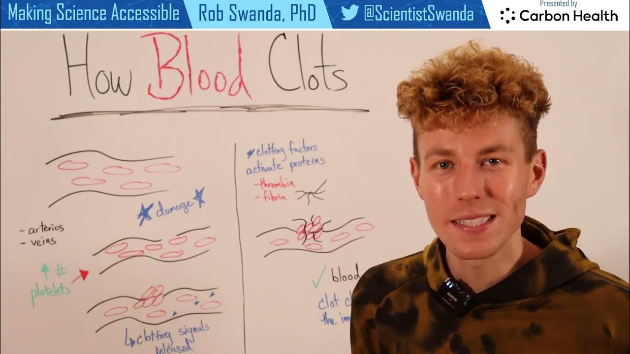How do Blood Clots Form? YouTube