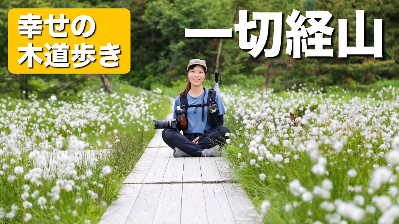 【駐車場からすぐ】魔女の瞳だけじゃない！お花も凄いぞ一切経山