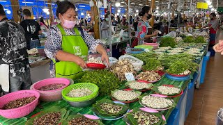 เลาะตลาดพรเพชร จ.มุกดาหาร แมงแคง ไข่มดแดง สุดยอดตลาดขายของป่าอาหารอีสาน