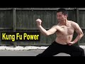 The power of kung fu wushu 