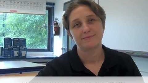 IB Psychology - Brain plasticity