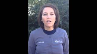 Post op instructions for composite and amalgam fillings