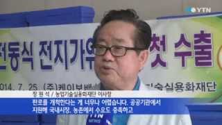 K-BOBE, Prune Master - YTN News