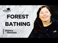 Forest Bathing & Nature Therapy: An Introduction – Shirley Gleeson