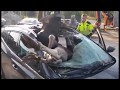 Последствия столкновения автомобиля с крупным лосем в Польше