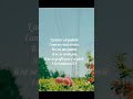 1 Corinthiens 13:4🤍#bible#dieu#jesus#foiendieu#versetdujour#shortvideo