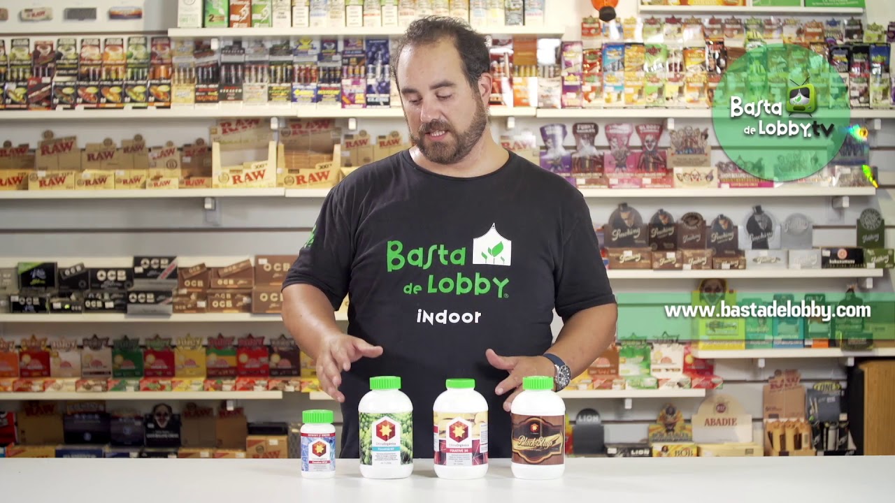 Basta de Lobby   China Orgánica nuevo