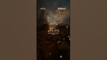 #محمد_صديق_المنشاوي #تلاوة #آيات #القرآن_الكريم #تلاوات #قرآن #quran #قران_كريم #القرآن#تلاوة_خاشعة