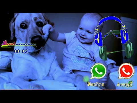 نغمة رنين لطيفة 2021 نغمة رسالة جديدة نغمة رسائل  لطيفة نغمة حب لطيفة نغمة رنين 