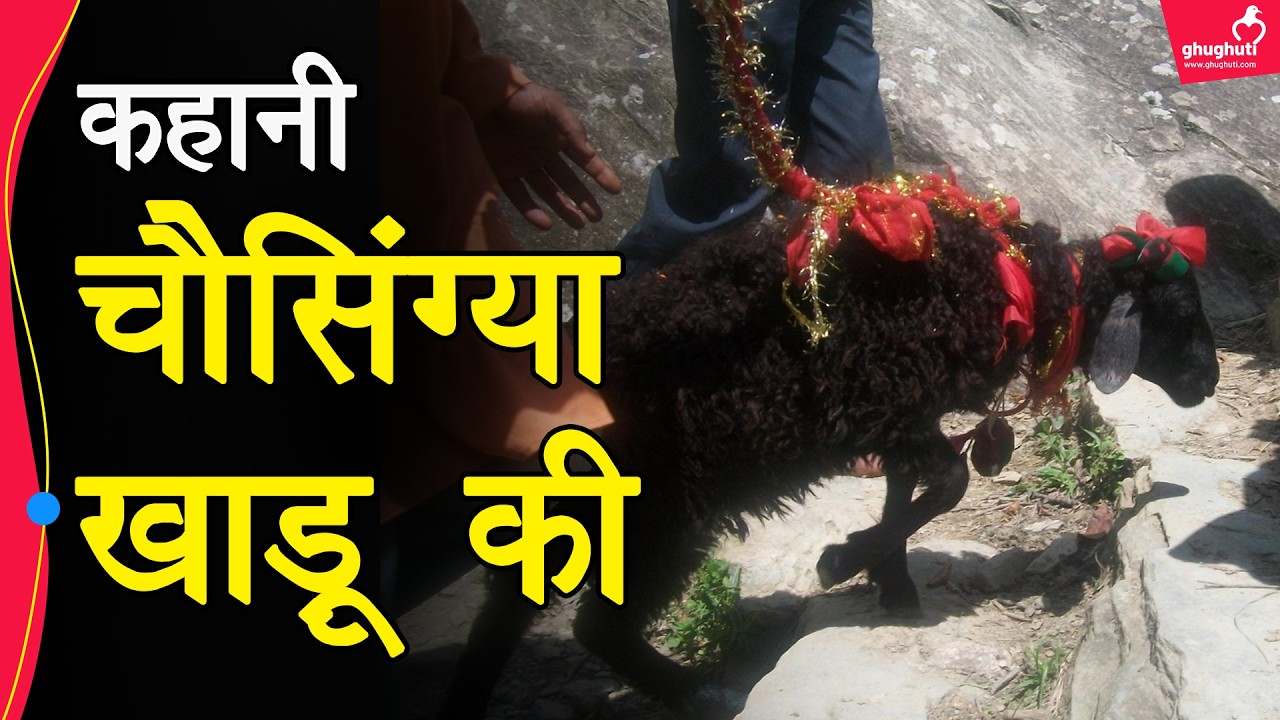 नंदा राज जात के चौसिंग्या खाडू की अनसुनी कहानी || Story of Chausingha Khaddu