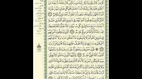 المصحف المرتل برواية حفص عن عاصم الصفحة رقم 44 #القرآن_الكريم #اكسبلور #المصحف #تيك_توك