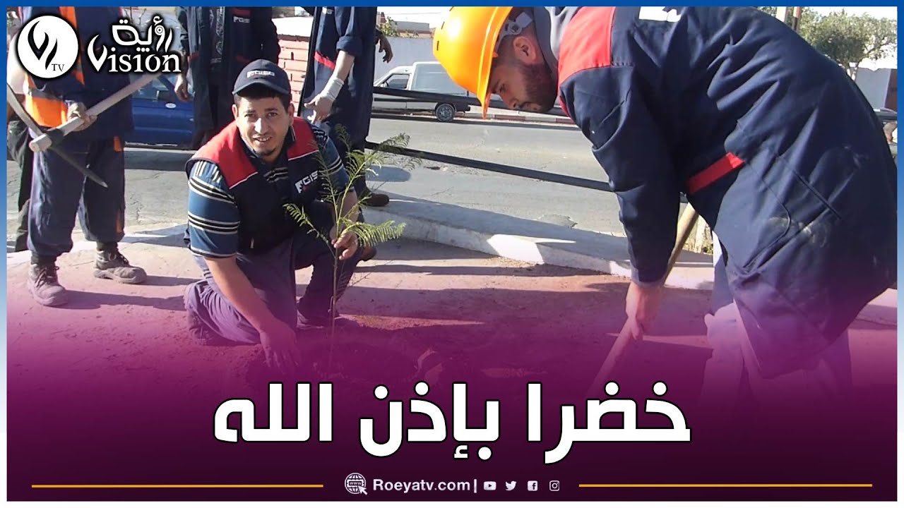 مستغانم: المجمع الصناعي 