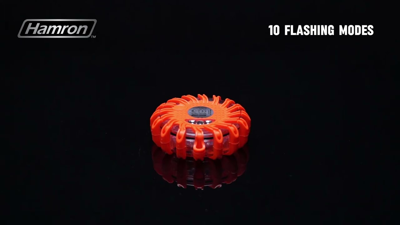 029709