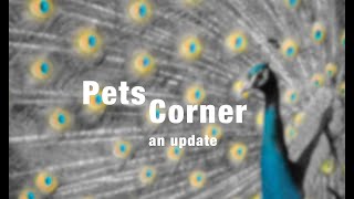 Pets Corner Animal Update Hd 1080P