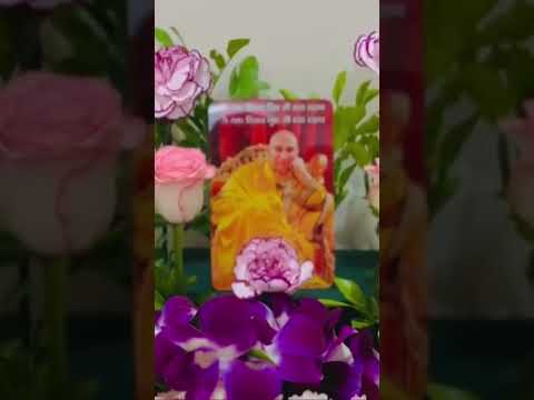 Guruji tere darshan nu🙏🏼😇
