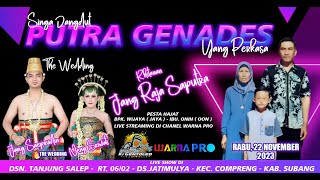 🔴 SINGA DANGDUT PUTRA GENADES || TANJUNGSALEP - JATIMULYA - COMPRENG - SUBANG || 22 -11- 2023