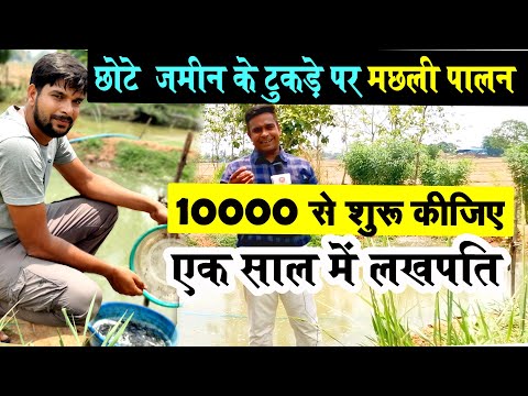 वीडियो: वॉल्यूमेट्रिक्स खाने की योजना का पालन कैसे करें: 10 कदम