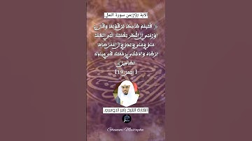 الآية (19)من سورة النمل... القارئ الشيخ ياسر الدوسري.