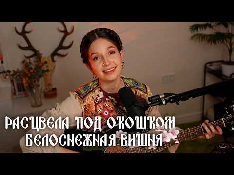 Расцвела под окошком... (Народная песня) // Юлия Кошкина