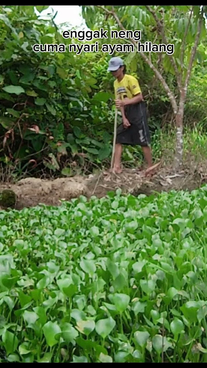 ketemu cewek lagi mancing #comedy #lucu #funny #ngakak @BISA_BIKIN_KETAWA