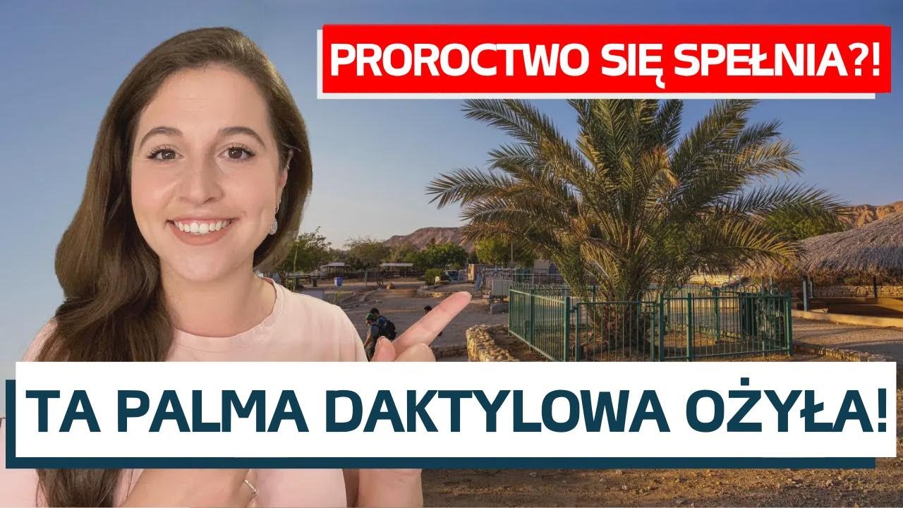CZY PROROCTWA SPEŁNIAJĄ SIĘ W IZRAELU? Cud 2000-letniej palmy daktylowej!