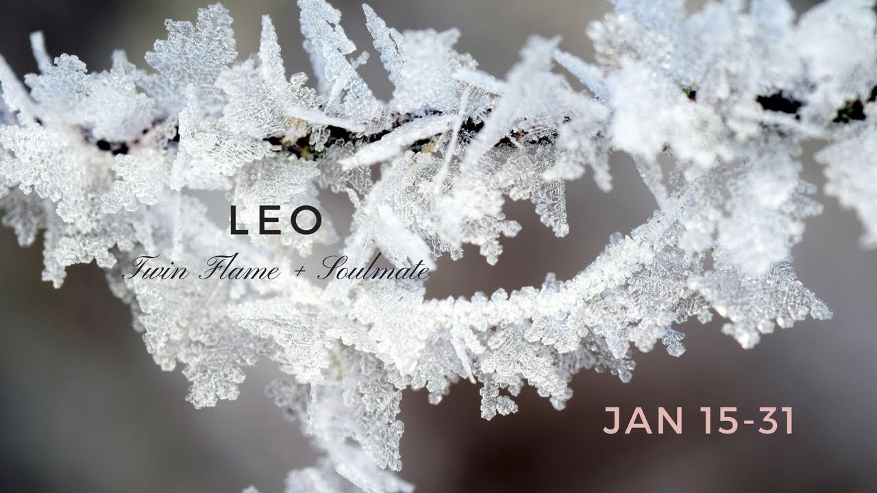 LEO: it's worth the wait. Jan 15-31
