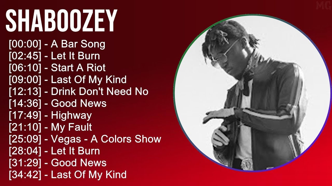 Shaboozey 2025 MIX Top Hits - A Bar Song, Let It Burn, Start A Riot, Last Of My Kind