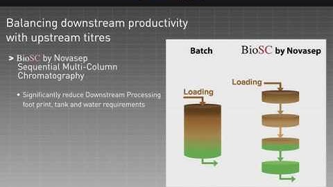 Sequential chromatography for mAb capture