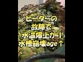 アクアリウム始めてから起きた大きな失敗3選 熱帯魚・レイアウト・aquascape・plantedtank #shorts
