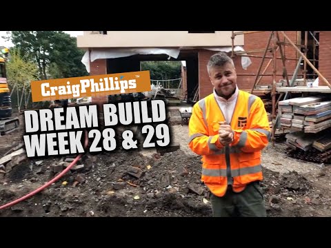 week-28-29-of-the-dream-build
