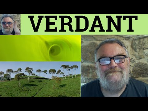 Video: Qual è la definizione di verdance?
