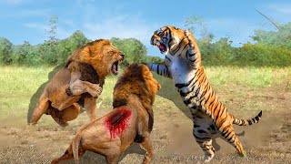Decisive Battle! Who Is Truly The Kingdom&#39;s Dominant King In The Wilderness: Lion Or Tiger?