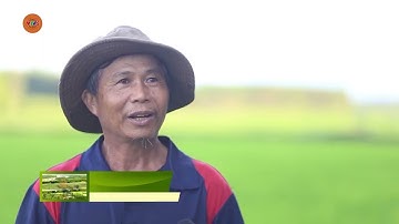 Xây dựng nông thôn mới ở miền núi Quảng Ngãi | NÔNG THÔN MỚI | VTV5