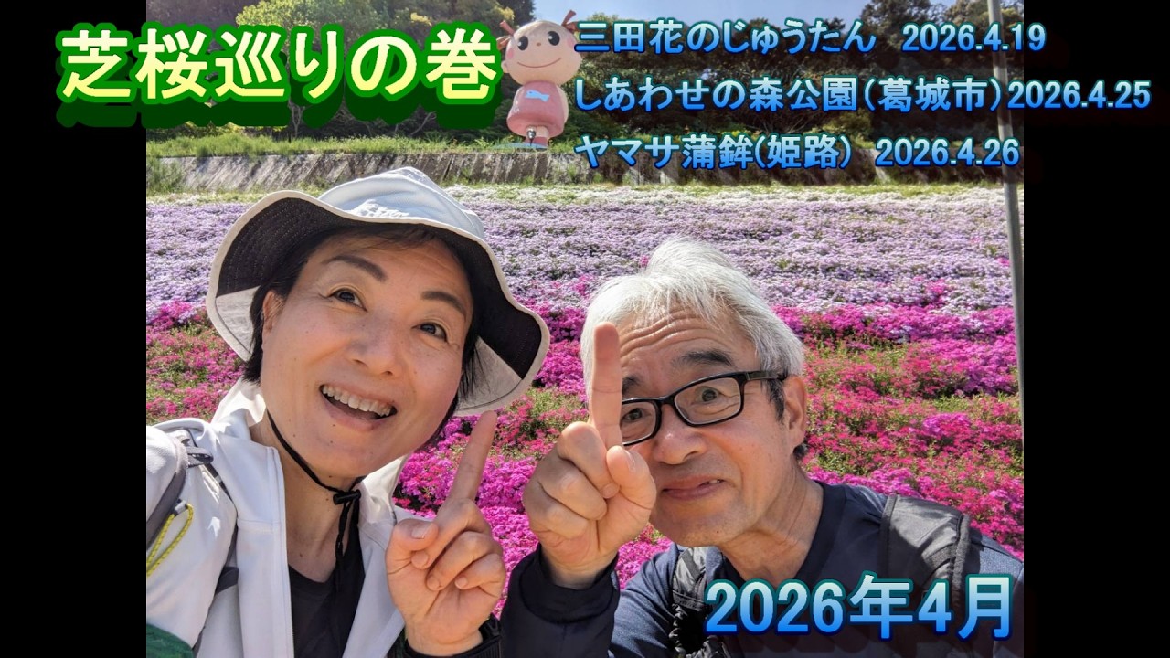 Moss Phlox Tour April 2026 - YouTube