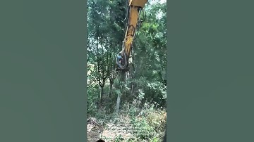 Excavator Uproots Trees: Efficient Land Clearing Techniques
