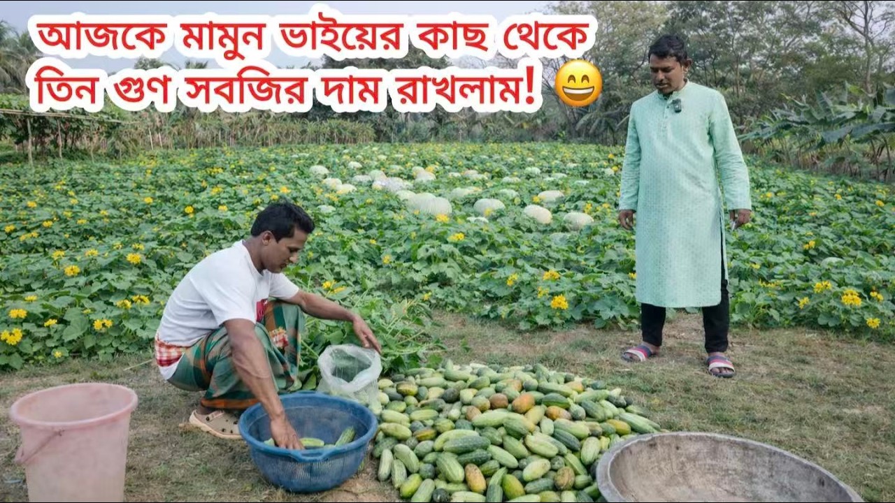 আজকে মামুন ভাইয়ের কাছ থেকে তিন গুণ সবজির দাম রাখলাম! 😄