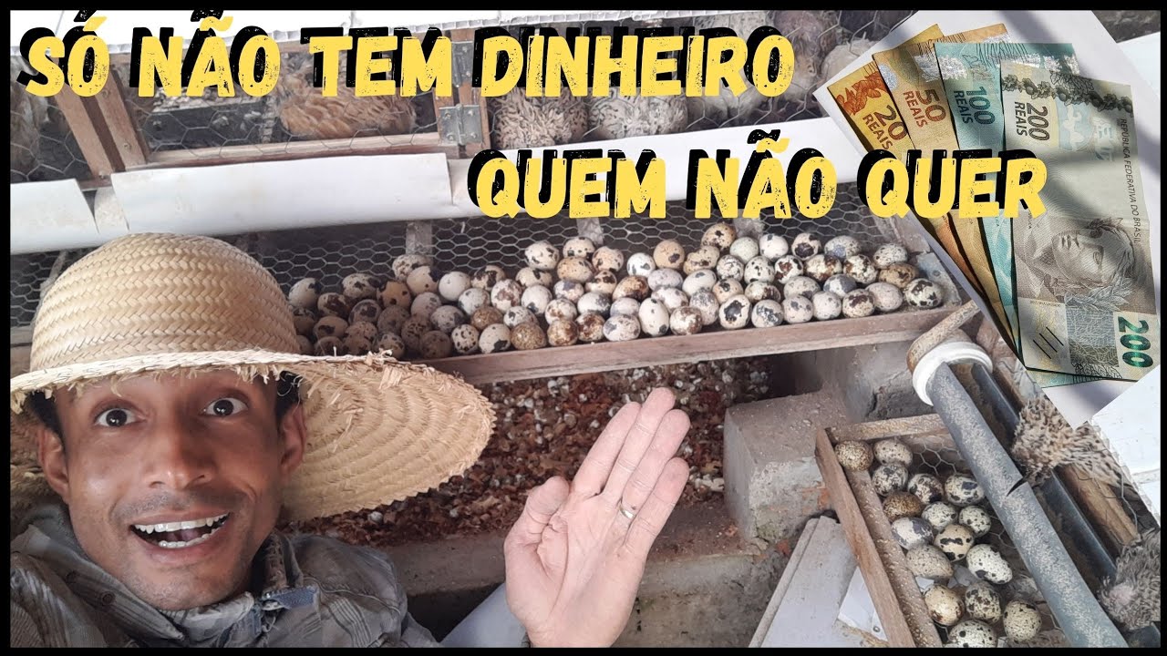 Aquela Ração Postura Top, NOVA fabricação CASEIRA @TILAPIAMinhaVida #sustentabilidade