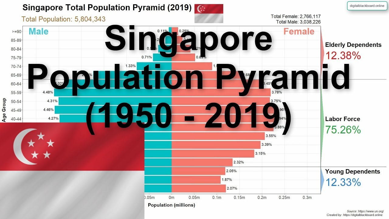singapore tourist demographics