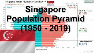 Singapore Population Pyramid (1950 - 2019)