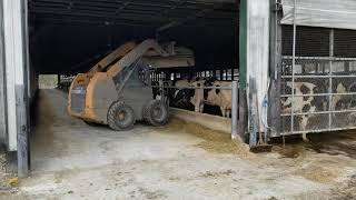 Feed pushing